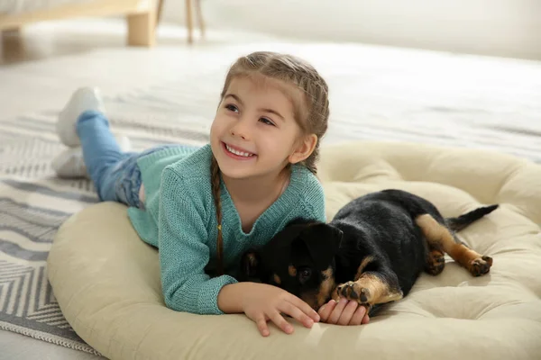 Menina Com Filhote Cachorro Bonito Deitado Travesseiro Macio Casa — Fotografia de Stock