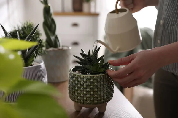 Mulher Molhando Planta Potted Bonita Dentro Casa Closeup Decoração Casa — Fotografia de Stock