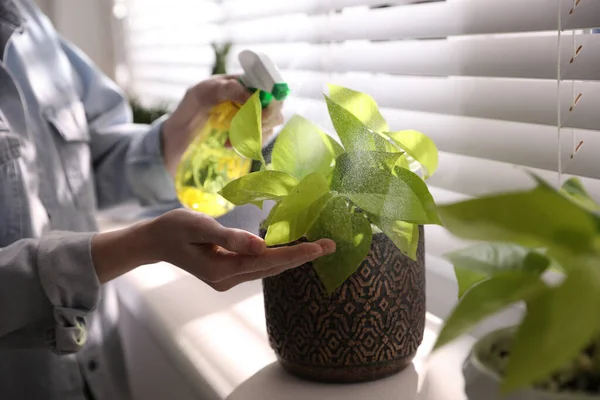 Woman Spraying Beautiful Potted Plant Window Sill Closeup Floral House — Stock Photo, Image