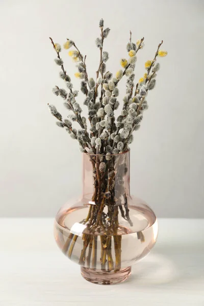 Beautiful Pussy Willow Branches Vase White Table — Stock fotografie