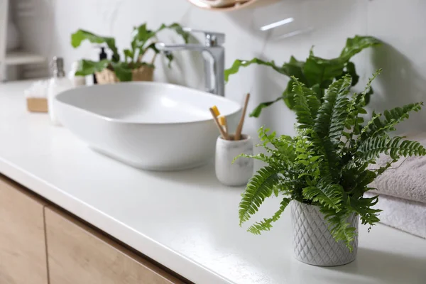 Beautiful Green Ferns Towels Toothbrushes Countertop Bathroom Space Text — Stock Photo, Image