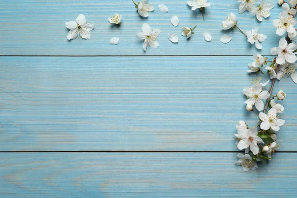 枝条光洁的春树 花朵如边沿浅蓝色的木制背景 平平的躺着 案文的篇幅 — 图库照片