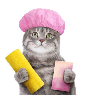 Duş bonesi ve beyaz arka planda banyo yapmak için farklı aksesuarları olan sevimli, komik bir kedi.