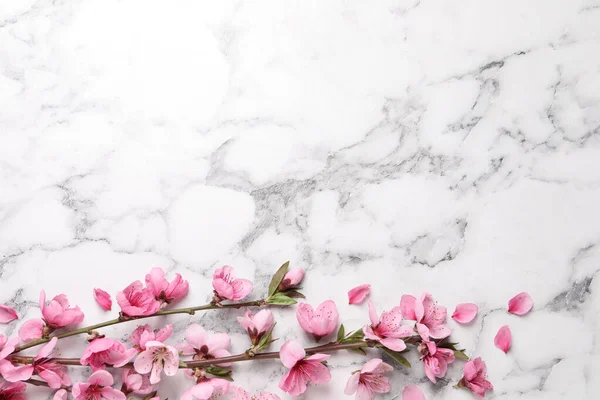 Bellissimi Fiori Sakura Sfondo Marmo Bianco Posa Piatta Spazio Testo — Foto Stock