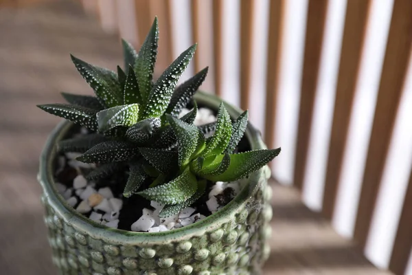 Bonita Planta Sala Vaso Mesa Madeira Close — Fotografia de Stock