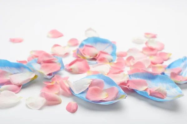 Pile Beautiful Petals White Background — Stock Photo, Image