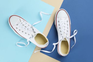 Renkli arka planda şık spor ayakkabılar, düz yatış