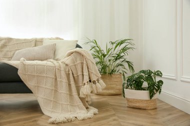 Oturma odasının içinde rahat bir kanepe var.