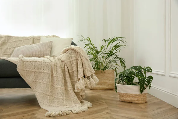 Oturma odasının içinde rahat bir kanepe var.