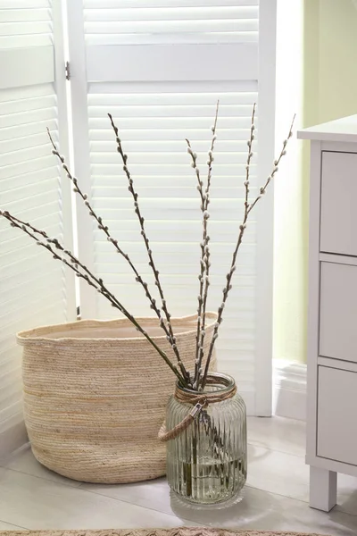 Glass Vase Pussy Willow Tree Branches Floor Room — Stockfoto