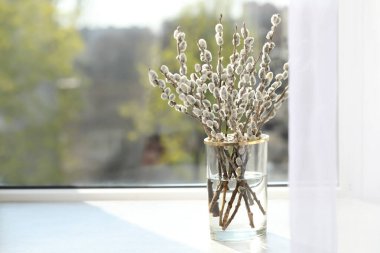 Beautiful pussy willow branches in glass vase on window sill indoors, space for text