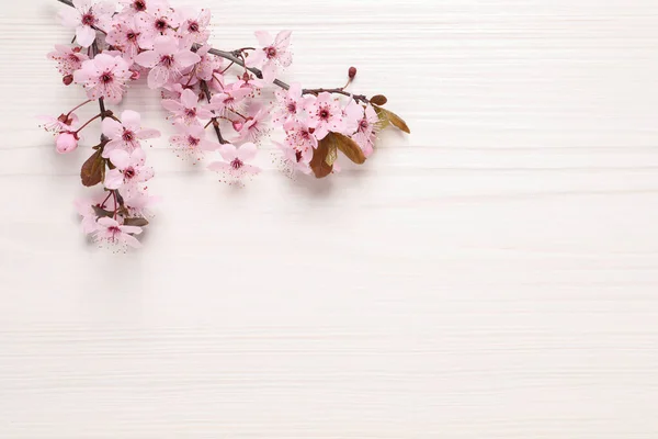 Beyaz Ahşap Masa Üzerinde Çiçek Açan Bahar Ağacı Dalı Düz — Stok fotoğraf