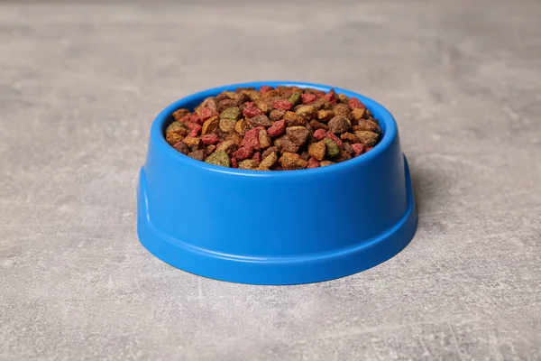 Dry food in blue pet bowl on grey surface