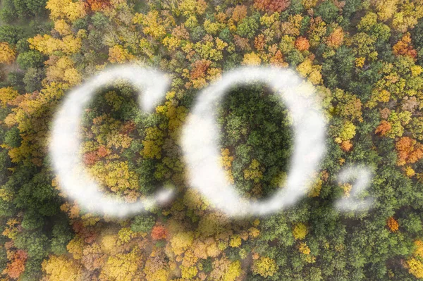 空气清澈的概念 Co2题词和美丽的森林 顶视图 — 图库照片