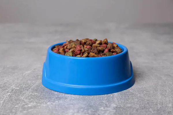 Dry food in blue pet bowl on grey surface