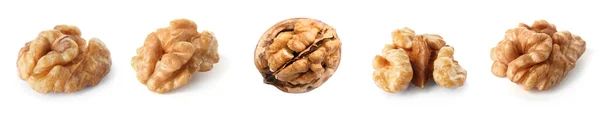 Set Tasty Walnuts White Background Banner Design — Stock Photo, Image