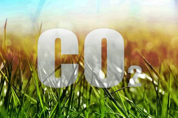 Concept Clear Air Co2 Inscription Green Grass — Stock Photo, Image