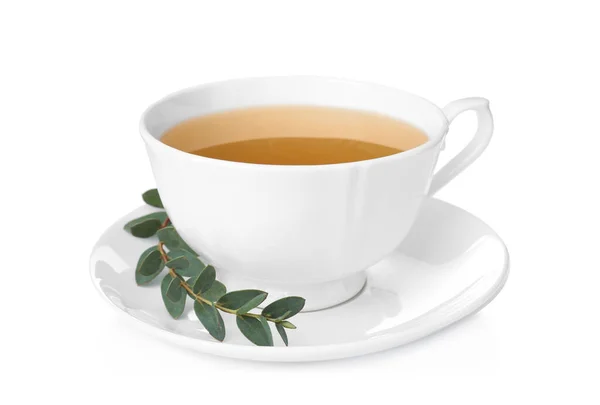 Cup Van Groene Thee Met Eucalyptus Bladeren Witte Achtergrond — Stockfoto