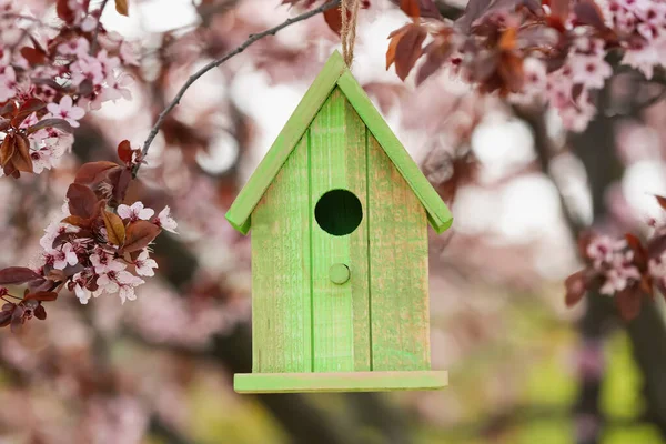 Grönt Trä Fågelhus Hängande Från Trädgren Utomhus — Stockfoto