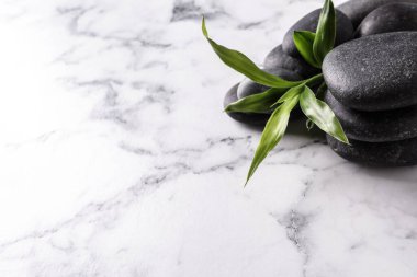 Beyaz mermer masada spa taşları ve bambu filizi, metin için boşluk