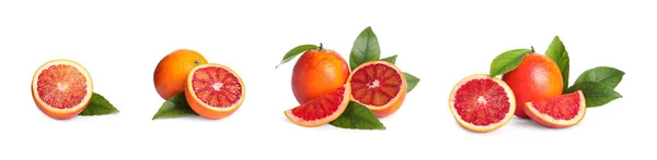 白を基調に熟した赤オレンジをセット バナーデザイン — ストック写真