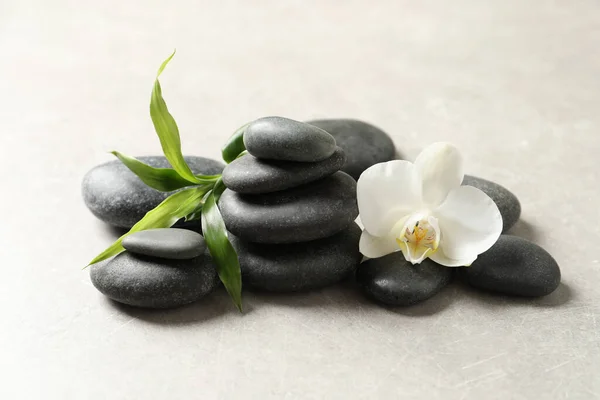 Wellness Steine Schöne Orchideenblume Und Bambuskeime Auf Hellgrauem Tisch — Stockfoto