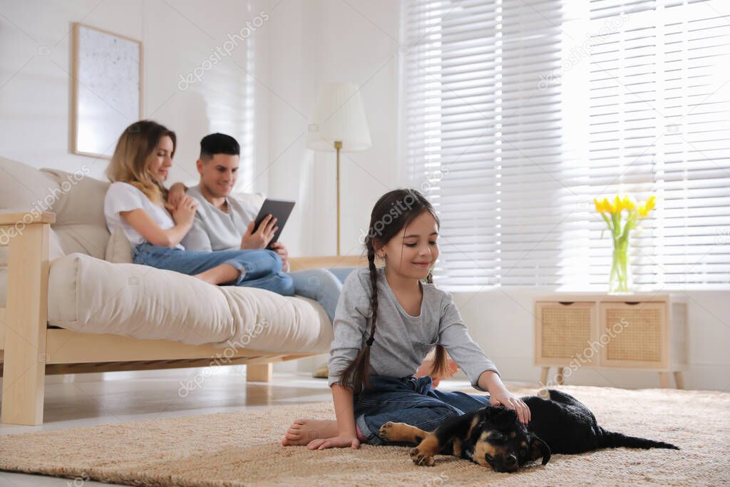 Little girl playing with puppy while parents sitting on sofa in living room