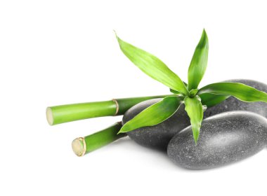 Beyaz arkaplanda spa taşları ve bambu kökleri