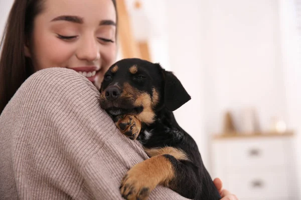 かわいい子犬を屋内で女性 可愛いペット — ストック写真