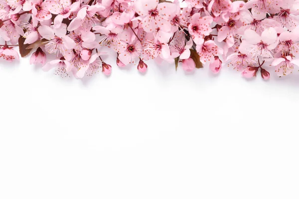 Beyaz arka planda sınır olarak güzel bahar ağaçları çiçek açar. Metin için boşluk