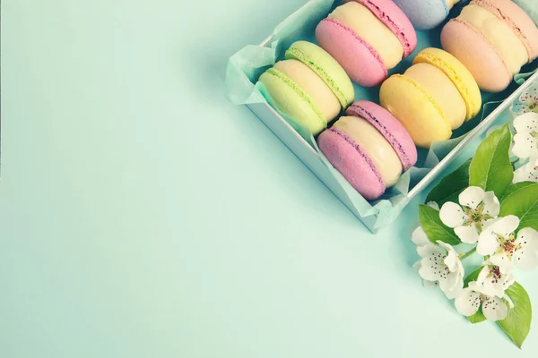 Viele Köstliche Bunte Macarons Schachtel Und Blumen Auf Hellblauem Hintergrund — Stockfoto