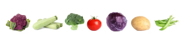 Collection Different Fresh Vegetables White Background Banner Design — Stock Photo, Image