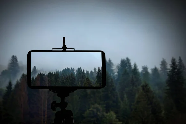 Фотография Красивого Горного Леса Туманное Утро Смартфоном Установленным Штативе — стоковое фото
