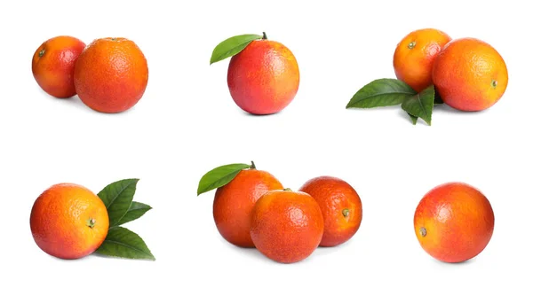 Set Met Rijpe Rode Sinaasappels Witte Achtergrond Banner Ontwerp — Stockfoto