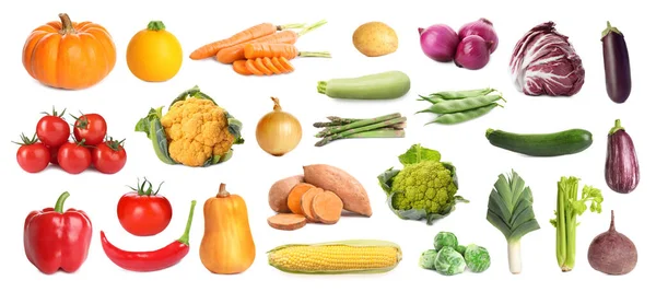 Колекція Різних Свіжих Овочів Білому Тлі Дизайн Прапора — стокове фото