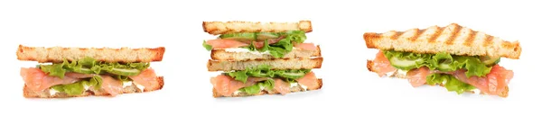 Set Different Delicious Sandwiches White Background Banner Design — Stock Photo, Image