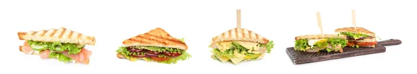 白い背景に異なるおいしいサンドイッチを設定します バナーデザイン — ストック写真