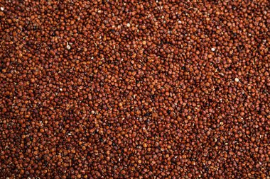 Arka plan olarak kırmızı kinoa yığını, üst görünüm. Sebze tohumları