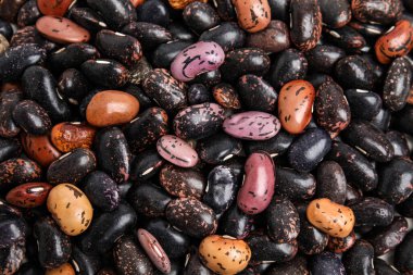 Arka plan olarak çiğ fasulye yığını, üst manzara. Sebze tohumları