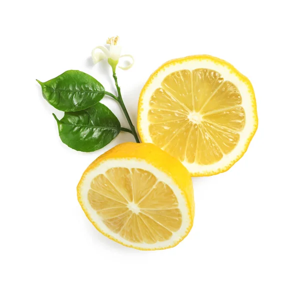 Limones Recién Cortados Con Flor Sobre Fondo Blanco Vista Superior — Foto de Stock