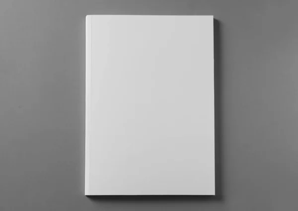Φυλλάδιο Λευκό Εξώφυλλο Ανοιχτό Γκρι Φόντο Πάνω Όψη — Φωτογραφία Αρχείου