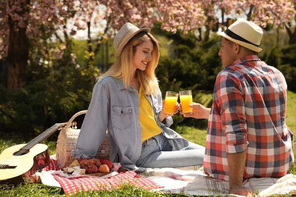 Glückliches Paar Picknickt Sonnigem Tag Park — Stockfoto