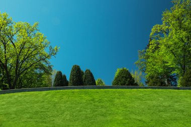 Yeşil çimenler ve açık havada ağaçlarla güzel bir manzara.