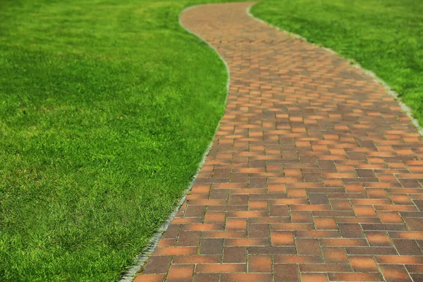 Fresh Green Grass Growing Pavement Path Outdoors — Stock Photo, Image