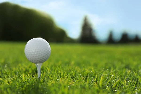 Golfball Abschlag Auf Grünem Platz Platz Für Text — Stockfoto