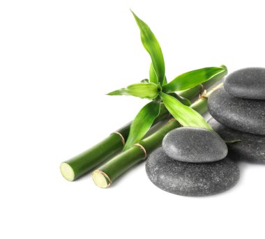Beyaz arkaplanda spa taşları ve bambu kökleri