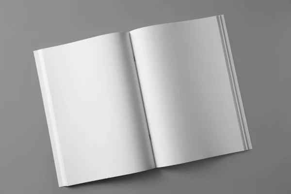 Open Blank Brochure Light Grey Background Top View — Stock Photo, Image