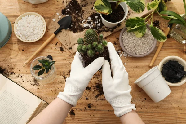 Femme Transplantant Des Plantes Intérieur Table Bois Gros Plan — Photo