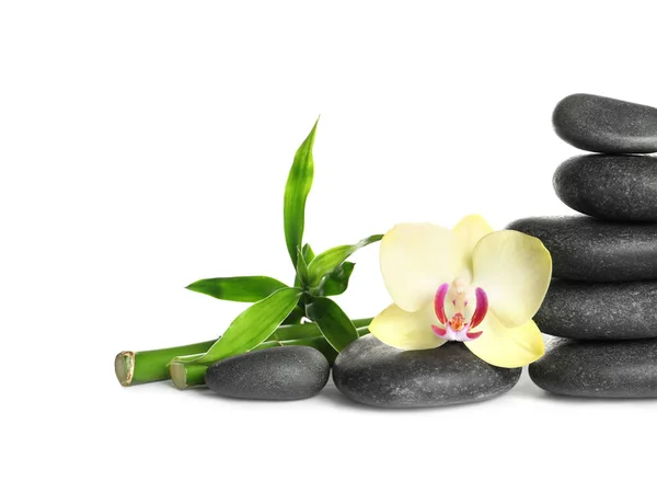 Wellness Steine Schöne Orchideenblüten Und Bambusstämme Auf Weißem Hintergrund — Stockfoto