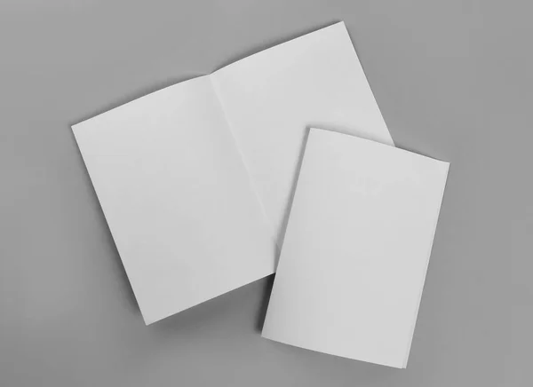 Folhetos Papel Branco Sobre Fundo Cinza Claro Flat Lay Mockup — Fotografia de Stock